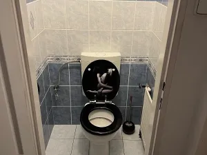 Prodej rodinného domu, Lešany, 272 m2