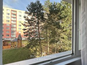 Prodej bytu 3+1, Pardubice, Luďka Matury, 65 m2