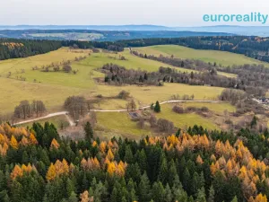 Prodej pozemku pro bydlení, Kraslice - Kostelní, 598 m2