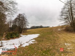 Prodej pozemku pro bydlení, Pěčín, 9989 m2