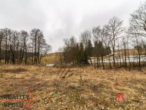 Prodej pozemku pro bydlení, Pěčín, 9989 m2