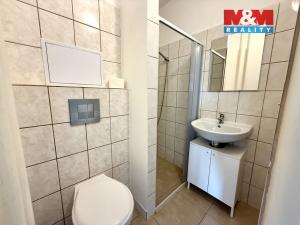 Pronájem bytu 1+kk, Ostrava - Mariánské Hory, Korunní, 25 m2