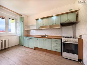 Pronájem bytu 3+1, Teplice - Trnovany, U Červeného kostela, 77 m2