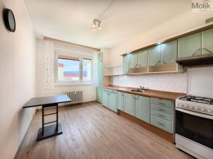 Pronájem bytu 3+1, Teplice - Trnovany, U Červeného kostela, 77 m2