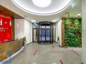 Pronájem kanceláře, Praha - Karlín, Sokolovská, 150 m2