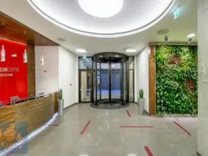 Pronájem kanceláře, Praha - Karlín, Sokolovská, 150 m2