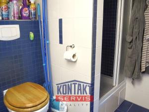 Pronájem bytu 1+kk, Železná Ruda, Belvederská, 50 m2