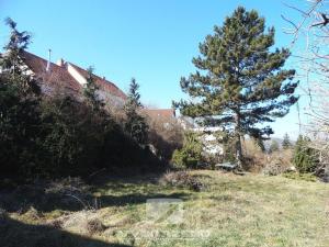 Prodej rodinného domu, Dolní Kounice, Hlavní, 400 m2