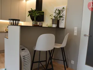 Pronájem bytu 1+kk, Ostrava, F. X. Riepla, 44 m2