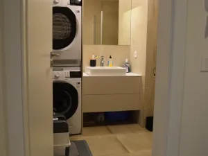 Pronájem bytu 1+kk, Ostrava, F. X. Riepla, 44 m2