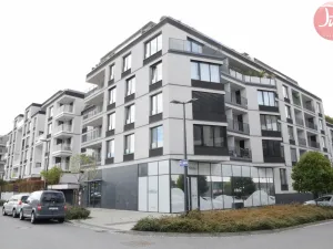 Pronájem bytu 1+kk, Ostrava, F. X. Riepla, 44 m2