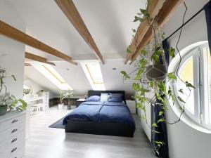 Prodej bytu 3+1, Jevany, Bohumil, 120 m2