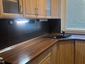 Prodej bytu 4+1, Ústí nad Labem, Dr. Horákové, 77 m2