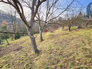 Prodej zahrady, Brno - Bystrc, Foltýnova, 415 m2