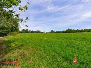 Prodej pozemku pro bydlení, Nové Sedlo - Loučky, Nové Loučky, 47741 m2