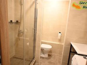 Pronájem bytu 1+1, Paskov, Papírenská, 44 m2