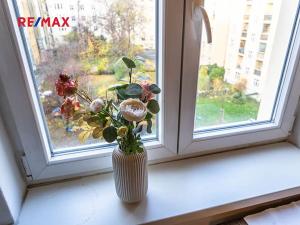 Pronájem bytu 2+kk, Praha - Vinohrady, Šrobárova, 49 m2