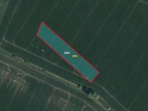 Prodej pole, Hlušice, 4486 m2