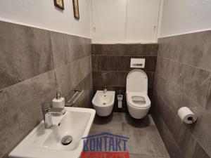 Pronájem rodinného domu, České Budějovice, Ot. Březiny, 131 m2