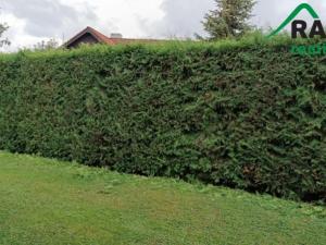 Prodej chalupy, Javorník, 80 m2