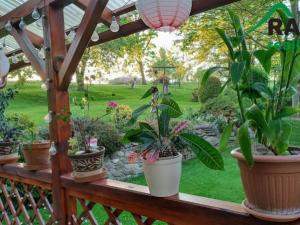 Prodej chalupy, Javorník, 80 m2