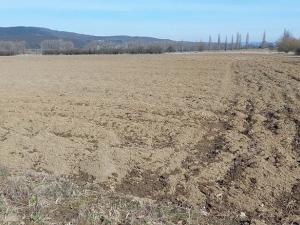 Prodej pole, Všeradice, 42604 m2