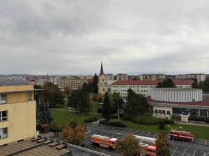 Pronájem bytu 1+kk, Přerov, Čechova, 32 m2