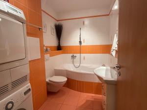 Prodej bytu 2+kk, České Budějovice, U Cihelny, 55 m2