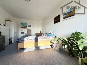 Pronájem bytu 1+1, Planá, Fučíkova, 42 m2