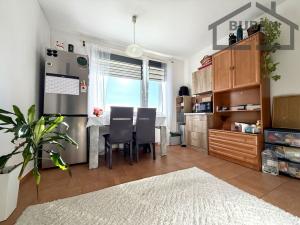 Pronájem bytu 1+1, Planá, Fučíkova, 42 m2