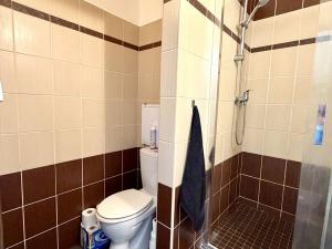 Pronájem bytu 1+1, Planá, Fučíkova, 42 m2