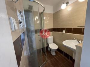 Pronájem bytu 1+kk, Ostrava, Opavská, 28 m2