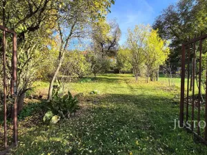 Prodej vícegeneračního domu, Písek, Harantova, 454 m2