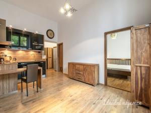 Prodej bytu 2+kk, Praha - Žižkov, Přemyslovská, 49 m2