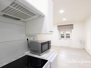 Pronájem bytu 1+kk, Praha - Libeň, Na Rokytce, 25 m2