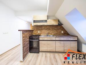 Pronájem bytu 1+1, Opava - Předměstí, Těšínská, 41 m2