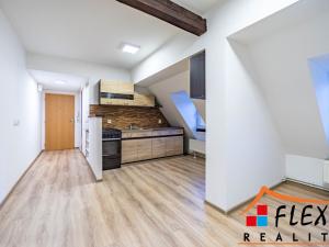 Pronájem bytu 1+1, Opava - Předměstí, Těšínská, 41 m2