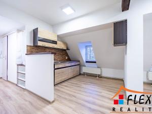 Pronájem bytu 1+1, Opava - Předměstí, Těšínská, 41 m2