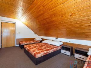 Prodej ubytování, Rokytnice nad Jizerou - Horní Rokytnice, 360 m2