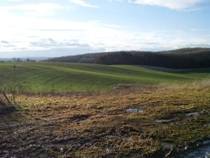 Prodej rodinného domu, Prusy-Boškůvky, 75 m2