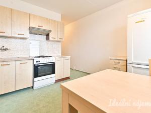 Pronájem bytu 2+1, Brno, Opálkova, 64 m2