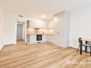 Pronájem bytu 1+kk, Brno, Bystrcká, 36 m2