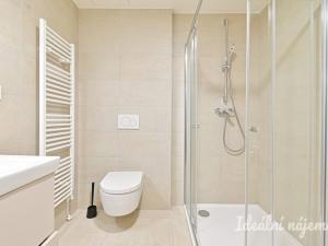 Pronájem bytu 1+kk, Brno, Bystrcká, 36 m2