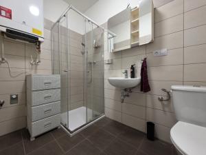 Pronájem bytu 1+1, Česká Lípa, Kozákova, 55 m2