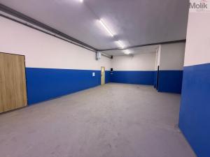 Pronájem skladu, Most, Lomená, 290 m2