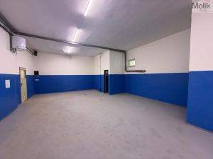 Pronájem skladu, Most, Lomená, 290 m2
