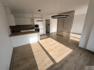 Pronájem bytu 1+kk, Olomouc - Nová Ulice, Karla Mareše, 50 m2