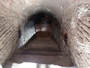 Prodej vinného sklepa, Drnholec, 60 m2