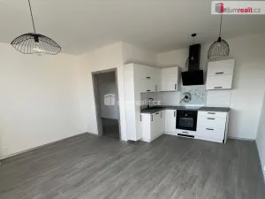 Pronájem bytu 2+kk, Ostrov, Lidická, 50 m2