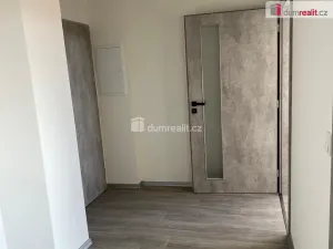 Pronájem bytu 2+kk, Ostrov, Lidická, 50 m2